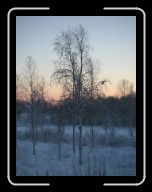 0212_0301 Sverige 048 * 600 x 800 * (56KB)